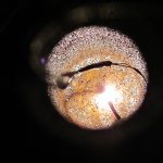 Sl.12. Ocena stanja – 4. Perforaciona korozija boce